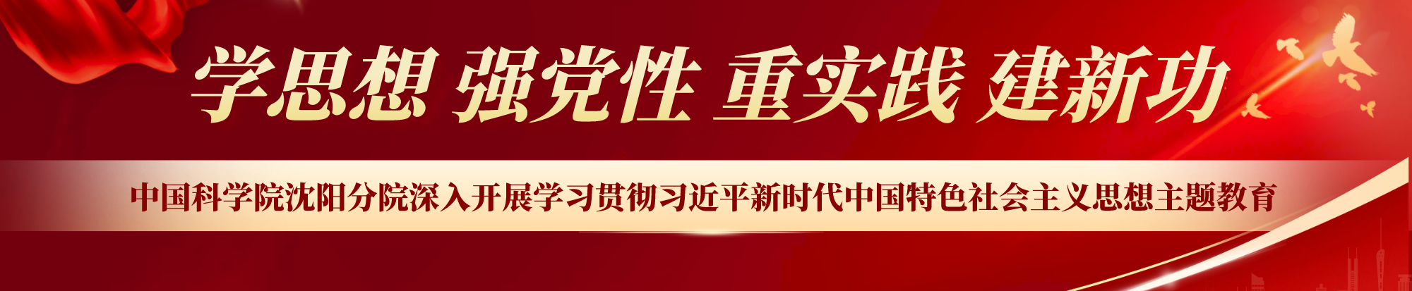 深入開展學(xué)習(xí)貫徹習(xí)近平新時代中國特色社會主義思想主題教育