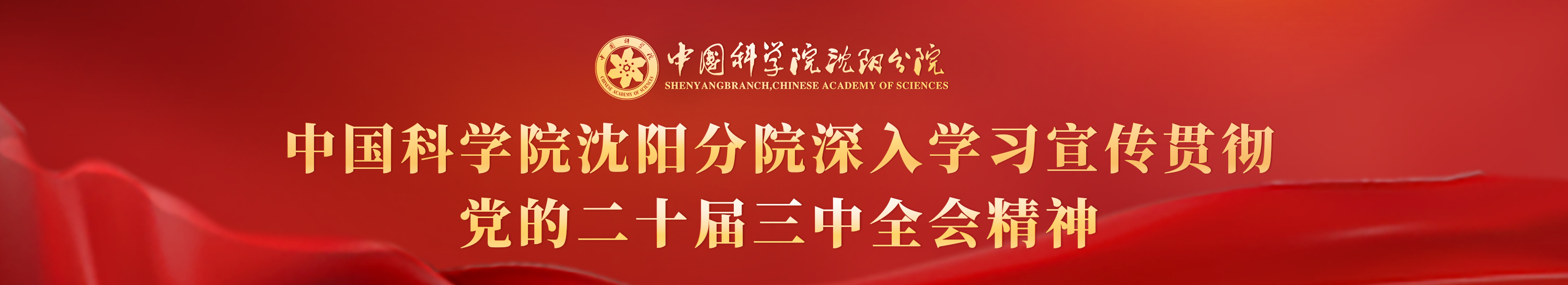 深入學(xué)習(xí)宣傳貫徹黨的二十屆三中全會精神